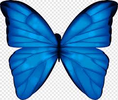 This pen and wash demonstrates drawing and painting a monarch butterfly with a minimum of colour mixing. Monarch Butterfly Blue Phengaris Alcon Blue Butterfly Watercolor Painting Blue Brush Footed Butterfly Png Pngwing
