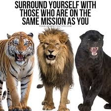 Love is an extremely powerful instrument. 5 Choices You Will Regret Forever Don T Make These Mistakes Fearless Motivation Motivational Videos Amp Fearless Quotes Motivational Videos Motivation