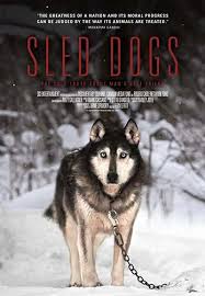 pin on best dog movies