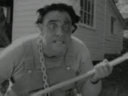 Amazon.com: Monster at Camp Sunshine (Frank Henenlotter's Sexy Shockers  from the Vaults) : Natalie Drest, Angela Evans, James Gatsby, Ron Cheney,  Ferenc Leroget: Películas y TV