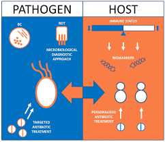 Guidelines on representative drug sampling. Towards Precision Medicine In Sepsis A Position Paper From The European Society Of Clinical Microbiology And Infectious Diseases Clinical Microbiology And Infection