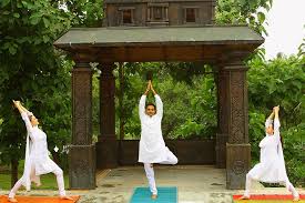 Some asanas have hyperlinks for deeper learning about the pose. 12 Yoga Poses That Do Wonders To Your Skin Naturally The Art Of Living India