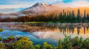 Check spelling or type a new query. Nature For Laptop Wallpapers Wallpaper Cave