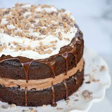 Chocolate Mousse Crunch Cake Our Best Bites Recipe Crunch Cake Easy Chocolate Mousse Chocolate Mousse Cake