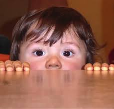 Jahresbericht 2023/2024