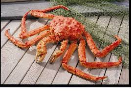 Ou Trouver Des Pattes Entieres De King Crab Pour Restaurant Gastronomique A Annecy 74000 Grossiste En Produits De La Mer Pour Restaurateurs A Paris Marina Sea Food