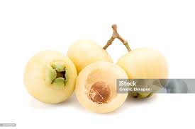 Image result for Syzygium jambos