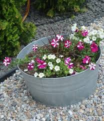 Zinkwanne Bepflanzen Bluhpflanzen Petunia Weiss Zinkwanne Bepflanzen Pflanzen Bepflanzung