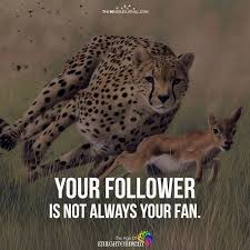 The 35 best funny christmas quotes of all time; Animals In Business Clothes And Funny Quotes Your Follower Is Not Always Your Fan Fan Quotes Facebook Quotes Dogtrainingobedienceschool Com