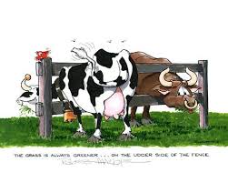 The Grass Is Always Greener On The Other Side Cartoon The Grass Is Always Greener On The Udder Side Of The Fence By Robert Marble Robert Marble Art Marble Art Art Green