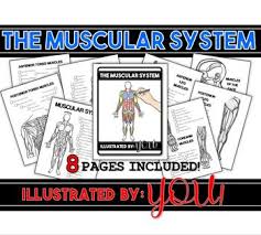 Among us coloring pages are based on the action game of the same name, in which you need to recognize a traitor on a spaceship. Muscular System Coloring Worksheets Teaching Resources Tpt