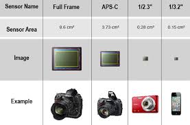 Sensor Size Chart Fun Life Crisis