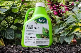 Check spelling or type a new query. The Best Insecticide For Vegetable Garden Options In 2021 Bob Vila