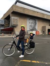 Model T Momentum Electric Velo Electrique Velo Electrique Siege Bebe Potence