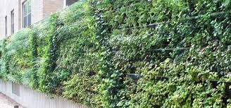 From home garden network, released april 14, 2020. 8 Ideas To Inspire Your First Living Wall Essential Home And Garden