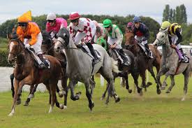 Vous pensez avoir les compétences nécessaires pour jouer à course d'obstacle dans la catégorie jeux de sport ? Courses De Chevaux 6 Trucs Et Astuces Pour Parieurs Debutants Le Petit Bleu