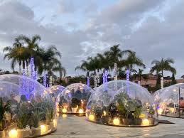 There are 3 cb exclusives in san diego, ca. Dinner With A View In San Diego Ca Palm Trees Pellegrino
