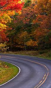 Autumn Skyline Drive Shenandoah National Park National Parks Shenandoah National Park Skyline Drive