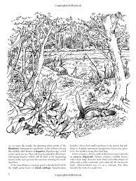 Ah, the smell of the fresh air, trees, and earth in nature's grandest location. A Walk In The Woods Coloring Book Dover Nature Coloring Book Amazon Co Uk Dorothea Barlowe 0499 Coloring Books Cool Coloring Pages Detailed Coloring Pages