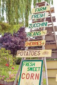 Robin Anish The Table Is Set Feasting On Mother Nature S Bounty Farmers Market Signage Farmers Market Stand Farmers Market Display