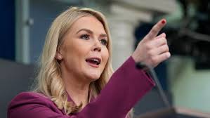 Karoline Leavitt slams Democrats amid DOGE criticism: 'Spiraling out of control'