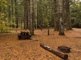 Maybe you would like to learn more about one of these? Oklahoma Campground Gifford Pinchot National Forest Recreation Gov