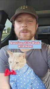 Preguntas divertidas con Newt: el gato que habla