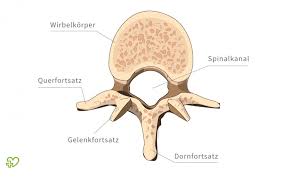 Der Rucken Onmeda De