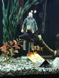 Pin By Sunsiray Maurici On Fish Tank In 2021 Fish Tank Decorations Fish Tank Aquarium Fish Tank