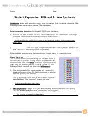 Rna polymerase is a type of enymene.ensymes help chemical reactions occur quickly.click the relase enzyme button,and if possible,discuss your answer with your teacher and classmates. Rna Protein Synthesis Student Exploration Worksheet Name Date Student Exploration Rna And Protein Synthesis Vocabulary Amino Acid Anticodon Course Hero