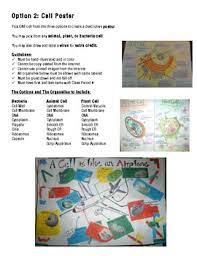 Animal cell model | great way for students to learn about the different parts of a cell through creating, labeling, writing, and presenting to the use this stylised poster to highlight the different parts of a plant cell. Cell Project Plant Animal And Bacteria Cells 3d Model Or Poster
