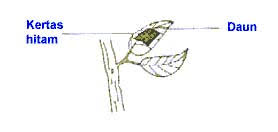 We did not find results for: Durontekno Webpage