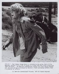 Gregg Henry in Mean Dog Blues (1978)🎬🌟Original Vintage Photo E60