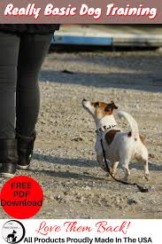 Dog Training The Basic Commands Dog Training Basic Dog Training Dogs