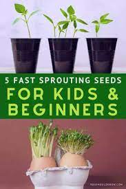 Fast Sprouting Seeds For Nearly Instant Gratification Planting For Kids Seed Planting For Kids Easy Vegetables To Grow