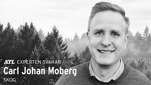 Kriget stärker förhandlingsläget för svenska skogsägare