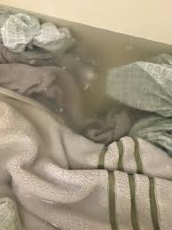 We did not find results for: Sheet And Towel Stripping How To New England Lifestyle Motherhood Diy Birch Landing Home