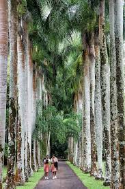 Port Louis Mauritius By Miwok Mauritius Travel Beautiful Islands Port Louis