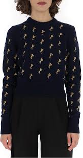 Maybe you would like to learn more about one of these? Chloe Horse Embroidered Knitted Sweater Shopstyle