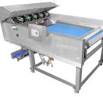 Blueberry Sorting | WECO