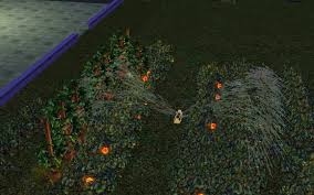 We did not find results for: The Sims 3 Gardening Skill