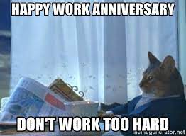 Check spelling or type a new query. Happy Work Anniversary Don T Work Too Hard Newspaper Cat Realization Meme Generator