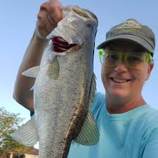 Straddle Sole Circle Dismount