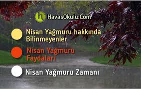 Nisan Yagmuru Hakkinda Bilinmeyenler Ve Nisan Yagmuru Faydalari Nisan Dualar Yagmur