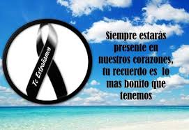 Imagenes De Monos De Luto Para Un Amigo Fotos De Luto Mensajes De Luto Imagenes De Condolencias