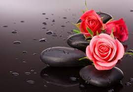 Whatsapp Dp Wallpaper Pics With Red Rose Whatsapp Dp Status Wallpaper Wallpaper Nature Flowers