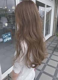 Light Brown Hairstyles 2018 2019 Ideas For Fashion Ash Hair Color Korean Hair Color Light Hair Color