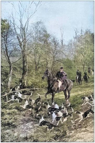 460+ Vintage Fox Hunt Stock Photos and Royalty-Free Pictures - iStock