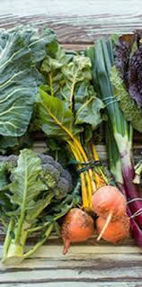 Registered Dietitian