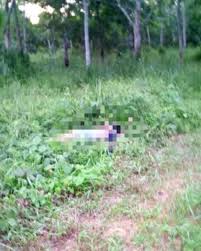 Pejabat tanah & daerah pokok sena. Remaja Perempuan Dipercayai Dibunuh